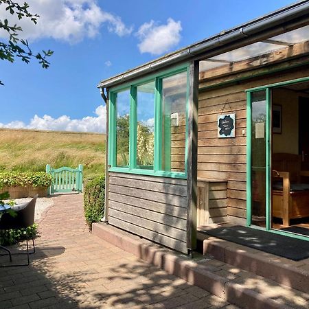 4 Pers Holiday Home Hilla With Winter Garden In Front Of The Dike Directly On The Lauwersmeer Anjum Exterior foto